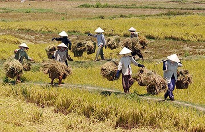 Hotspot Matrix: Biến Út Lan: Oán Linh Giữ Của – thành cơ hội marketing đột phá