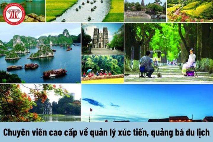 Hotspot Matrix: AI và Tương Lai của Tối Ưu Hóa Video Ngắn