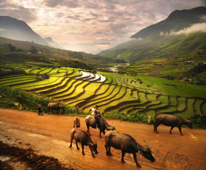 Kích thước to bất thường: Tôm nuôi theo phương pháp tự nhiên sẽ có kích thước không