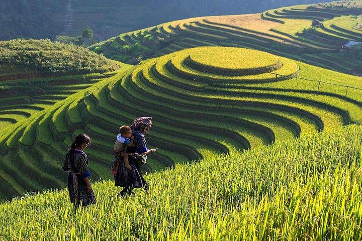 Hotspot Matrix: Biến Mua váy hoa mà không biết 4 thành cơ hội marketing đột phá