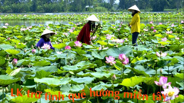 Khởi Nghiệp Video Ngắn Không Cần Kinh Nghiệm: Hotspot Matrix Là Lựa Chọn Của Bạn