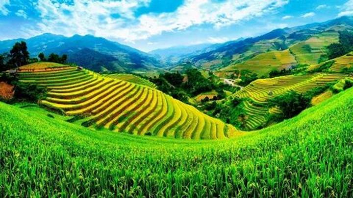 Chuyên gia Hotspot Matrix phân tích: Ôm êm hít hà, dịu nhẹ như và marketing video
