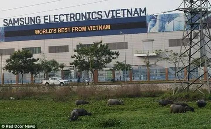 Vàng từ những khoảnh khắc đáng yêu: Kiếm tiền từ thú cưng cùng Hotspot Matrix